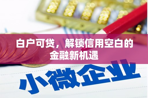 青阳白户可贷，解锁信用空白的金融新机遇