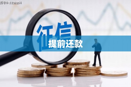 青阳提前还款