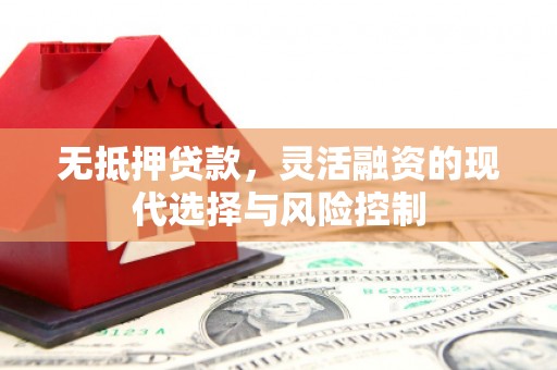 青阳无抵押贷款，灵活融资的现代选择与风险控制