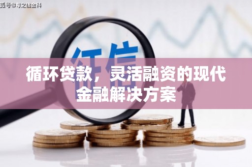 青阳循环贷款，灵活融资的现代金融解决方案
