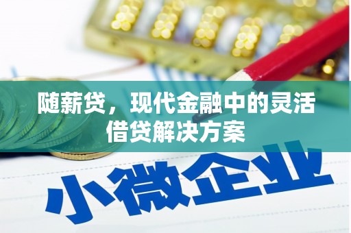 青阳随薪贷，现代金融中的灵活借贷解决方案