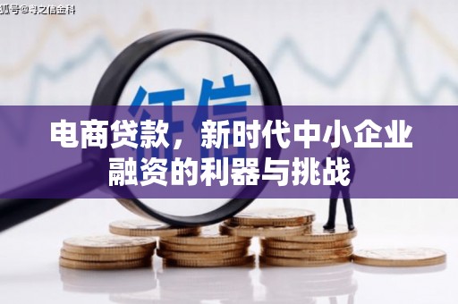 青阳电商贷款，新时代中小企业融资的利器与挑战