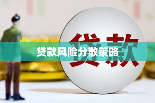 青阳贷款风险分散策略