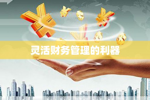 青阳灵活财务管理的利器