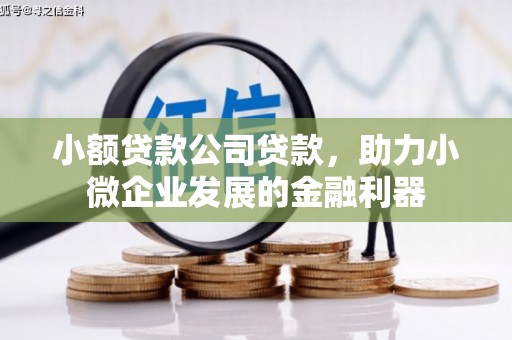 青阳小额贷款公司贷款，助力小微企业发展的金融利器