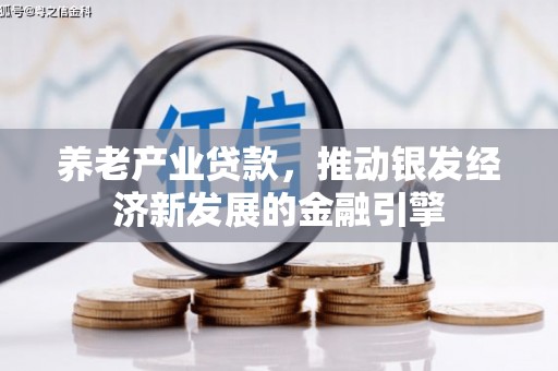 青阳养老产业贷款，推动银发经济新发展的金融引擎