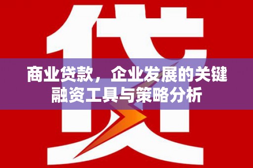 青阳商业贷款，企业发展的关键融资工具与策略分析