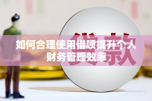 青阳如何合理使用借呗提升个人财务管理效率