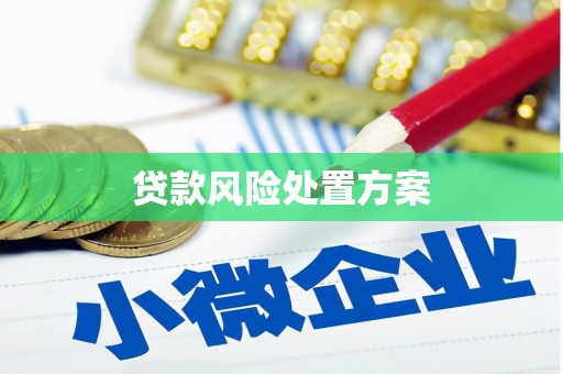 青阳贷款风险处置方案