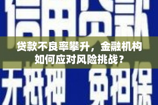 青阳贷款不良率攀升，金融机构如何应对风险挑战？