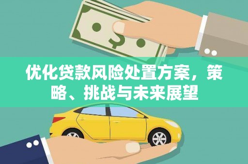 青阳优化贷款风险处置方案，策略、挑战与未来展望