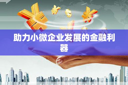 青阳助力小微企业发展的金融利器
