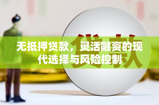 青阳无抵押贷款，灵活融资的现代选择与风险控制