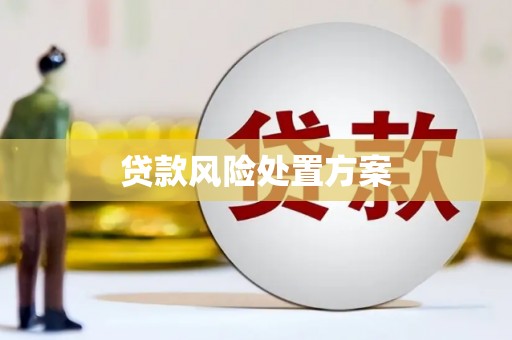 青阳贷款风险处置方案