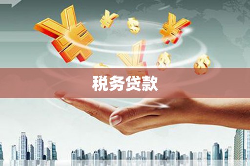 青阳税务贷款