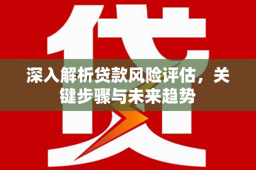 青阳深入解析贷款风险评估，关键步骤与未来趋势