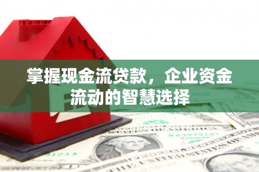 青阳掌握现金流贷款，企业资金流动的智慧选择