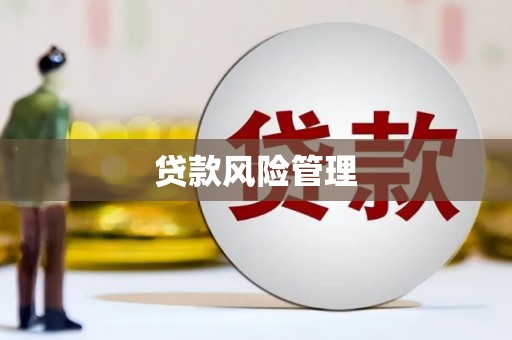青阳贷款风险管理