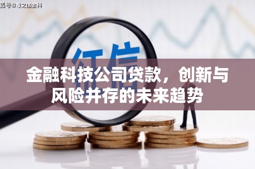 青阳金融科技公司贷款，创新与风险并存的未来趋势
