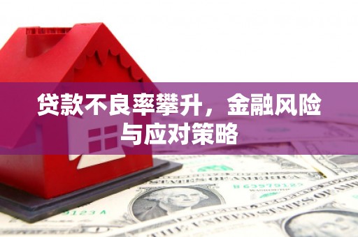 青阳贷款不良率攀升，金融风险与应对策略