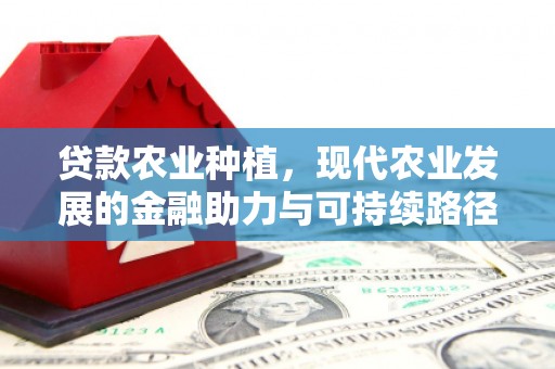 青阳贷款农业种植，现代农业发展的金融助力与可持续路径