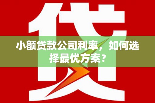 青阳小额贷款公司利率，如何选择最优方案？