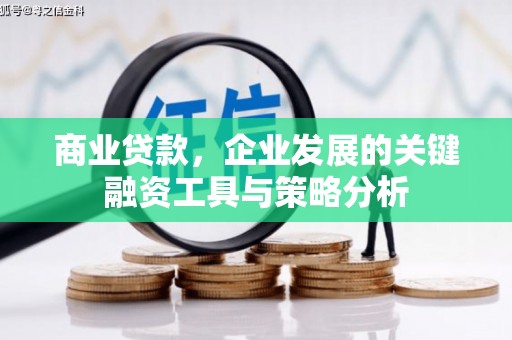 青阳商业贷款，企业发展的关键融资工具与策略分析
