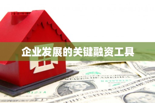 青阳企业发展的关键融资工具
