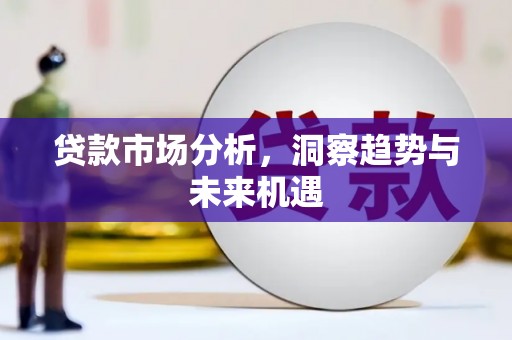 青阳贷款市场分析，洞察趋势与未来机遇