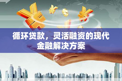 青阳循环贷款，灵活融资的现代金融解决方案