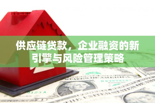 青阳供应链贷款，企业融资的新引擎与风险管理策略