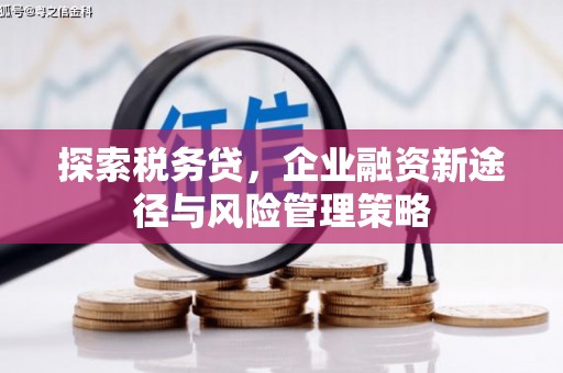 青阳探索税务贷，企业融资新途径与风险管理策略