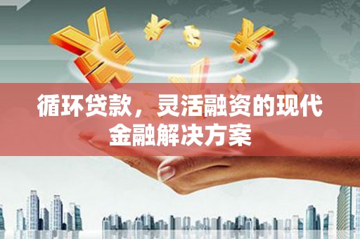 青阳循环贷款，灵活融资的现代金融解决方案