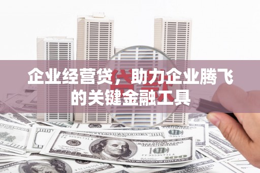 青阳企业经营贷，助力企业腾飞的关键金融工具