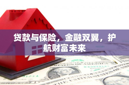 青阳贷款与保险，金融双翼，护航财富未来