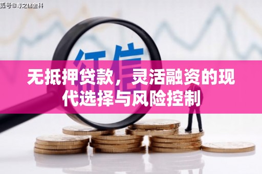 青阳无抵押贷款，灵活融资的现代选择与风险控制
