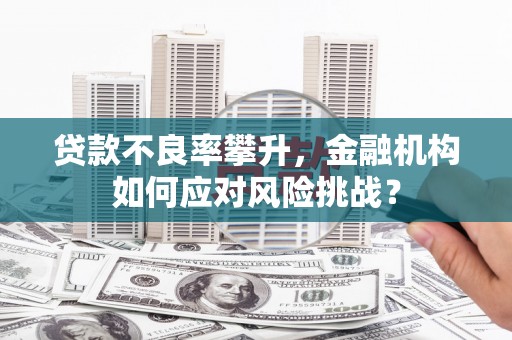 青阳贷款不良率攀升，金融机构如何应对风险挑战？