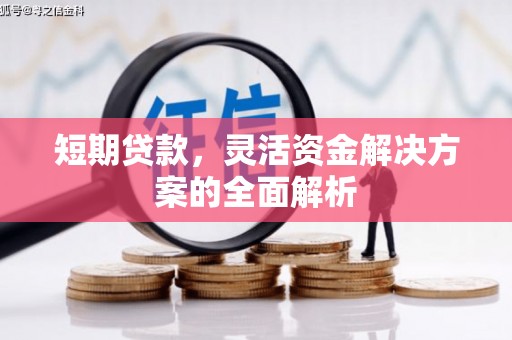 青阳短期贷款，灵活资金解决方案的全面解析