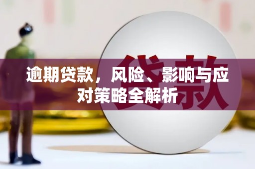 青阳逾期贷款，风险、影响与应对策略全解析