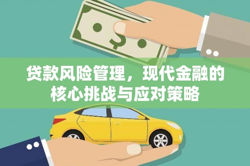 青阳贷款风险管理，现代金融的核心挑战与应对策略
