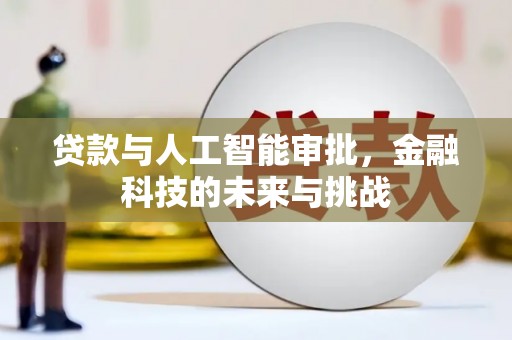 青阳贷款与人工智能审批，金融科技的未来与挑战