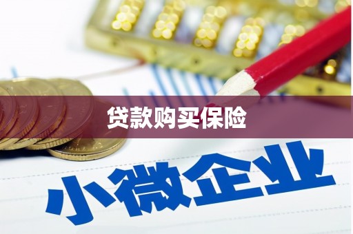 青阳贷款购买保险