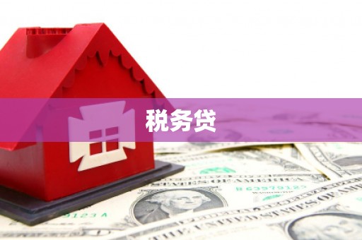 青阳税务贷