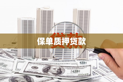青阳保单质押贷款