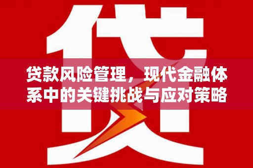 青阳贷款风险管理，现代金融体系中的关键挑战与应对策略