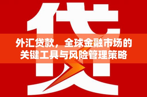 青阳外汇贷款，全球金融市场的关键工具与风险管理策略