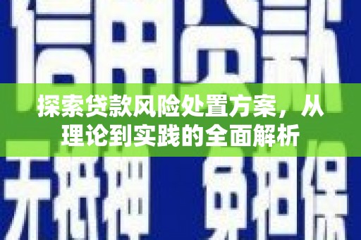 青阳探索贷款风险处置方案，从理论到实践的全面解析