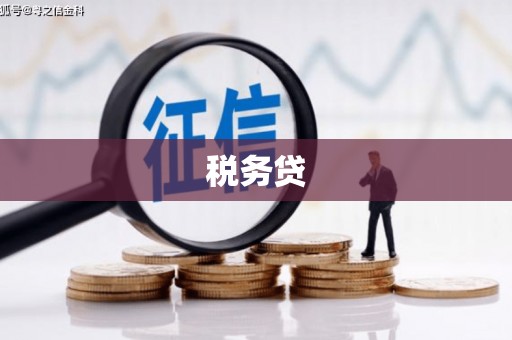 青阳税务贷