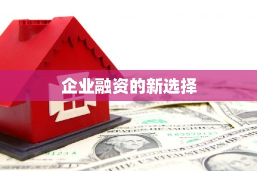 青阳企业融资的新选择