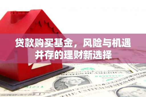 青阳贷款购买基金，风险与机遇并存的理财新选择
